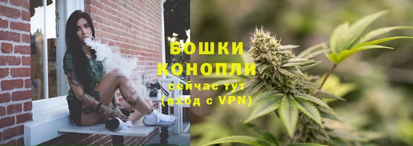 ПСИЛОЦИБИНОВЫЕ ГРИБЫ Дмитров