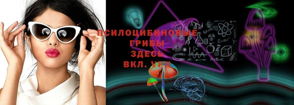 ПСИЛОЦИБИНОВЫЕ ГРИБЫ Дмитров