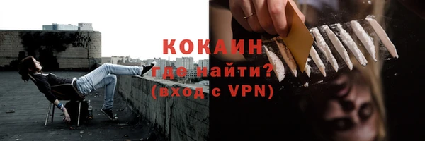 шишки Ельня