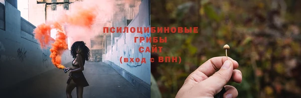 Альфа ПВП Дмитриев
