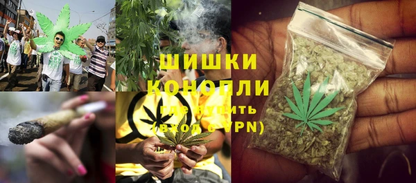 Альфа ПВП Дмитриев