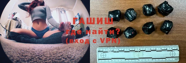 шишки Ельня
