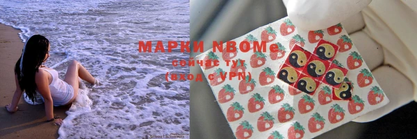 ПСИЛОЦИБИНОВЫЕ ГРИБЫ Дмитров
