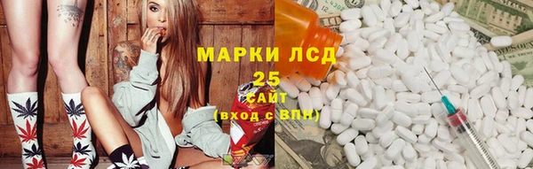 ПСИЛОЦИБИНОВЫЕ ГРИБЫ Дмитров