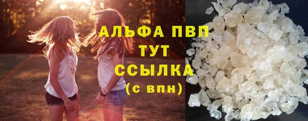 Альфа ПВП Дмитриев
